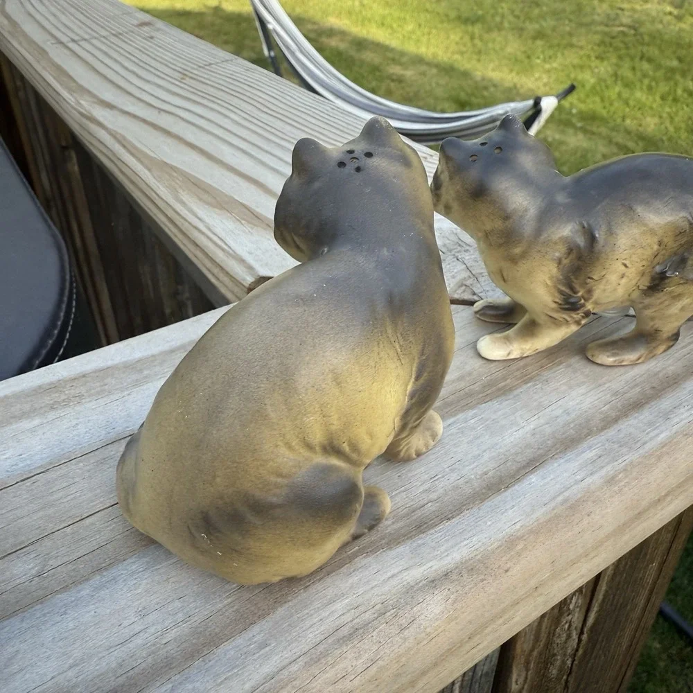 Vintage Enesco Raccoon Salt and Pepper Shaker Camp Cottage Woods Lake